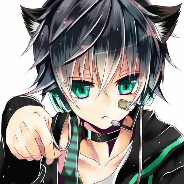 Ảnh trai anime mèo Ảnh trai hoạt hình cute 2