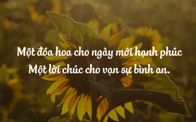 Hình ảnh mang ý nghĩa cầu bình an cho gia đình 12 Hình ảnh mang ý nghĩa cầu bình an cho gia đình 12