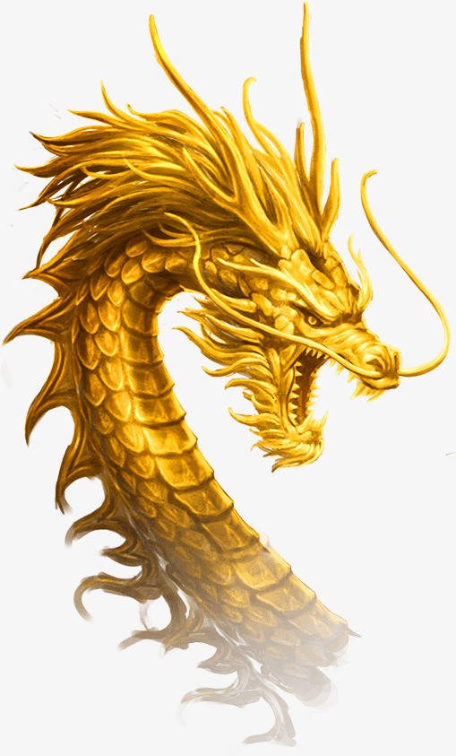 hinh-anh-con-rong-dep Ảnh rồng vàng