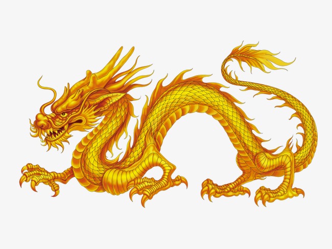 hinh-anh-rong-vang-cuc-dep dragon vàng đẹp
