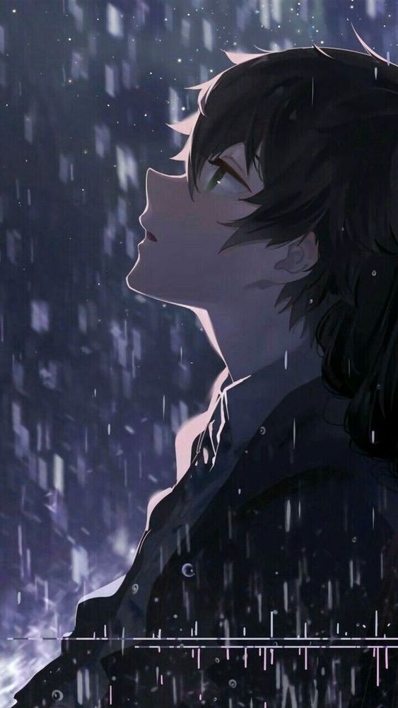 anime co don 12 anime co don 12