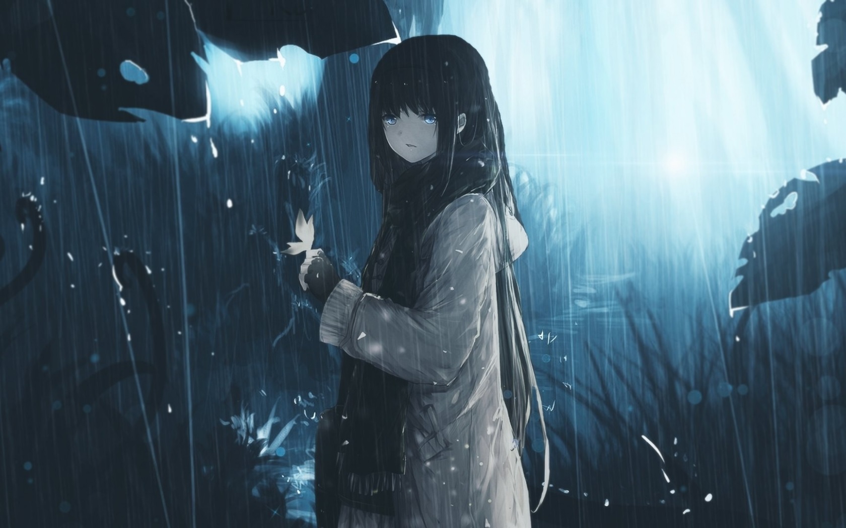 anime co don 39 anime co don 39