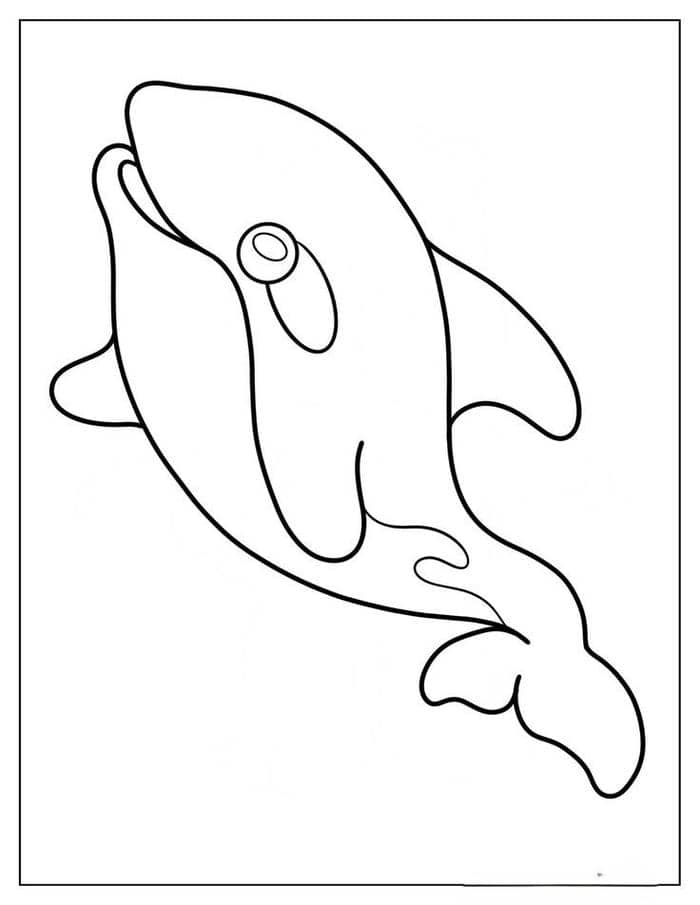 20-killer-whale-coloring-pages-free-pdf-printables-7 Tranh tô màu cá voi đơn giản dễ vẽ