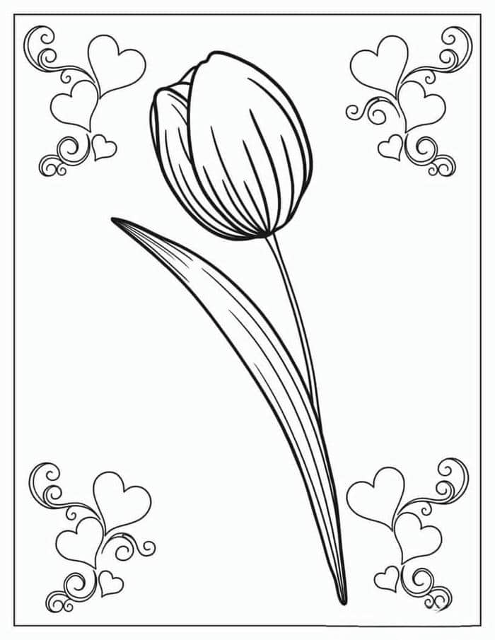 anh-tranh-to-mau-hinh-bong-hoa-tulip Ảnh tranh tô màu hình bông hoa tulip