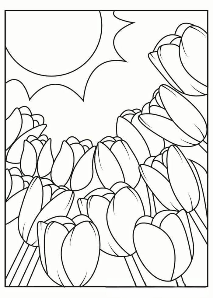 anh-tranh-to-mau-hinh-vuon-hoa-tulip-don-gian Ảnh tranh tô màu hình vườn hoa tulip đơn giản