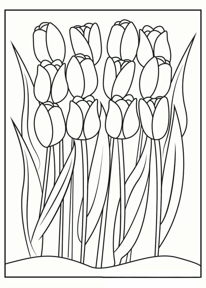 anh-tranh-to-mau-hoa-tulip-don-gian Ảnh tranh tô màu hoa tulip đơn giản