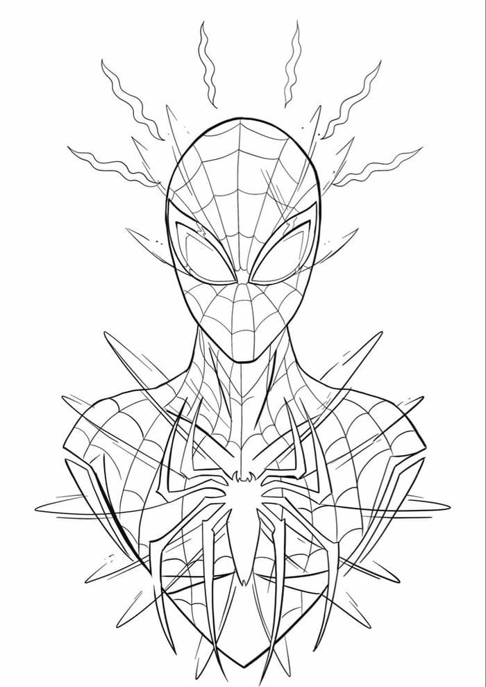 hinh-anh-tranh-to-mau-spiderma Hình ảnh tranh tô màu Spiderma