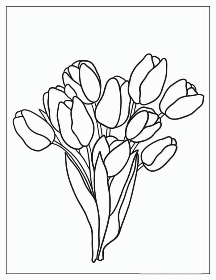 hinh-bo-hoa-tulip-tranh-to-mau Hình bó hoa tulip tranh tô màu