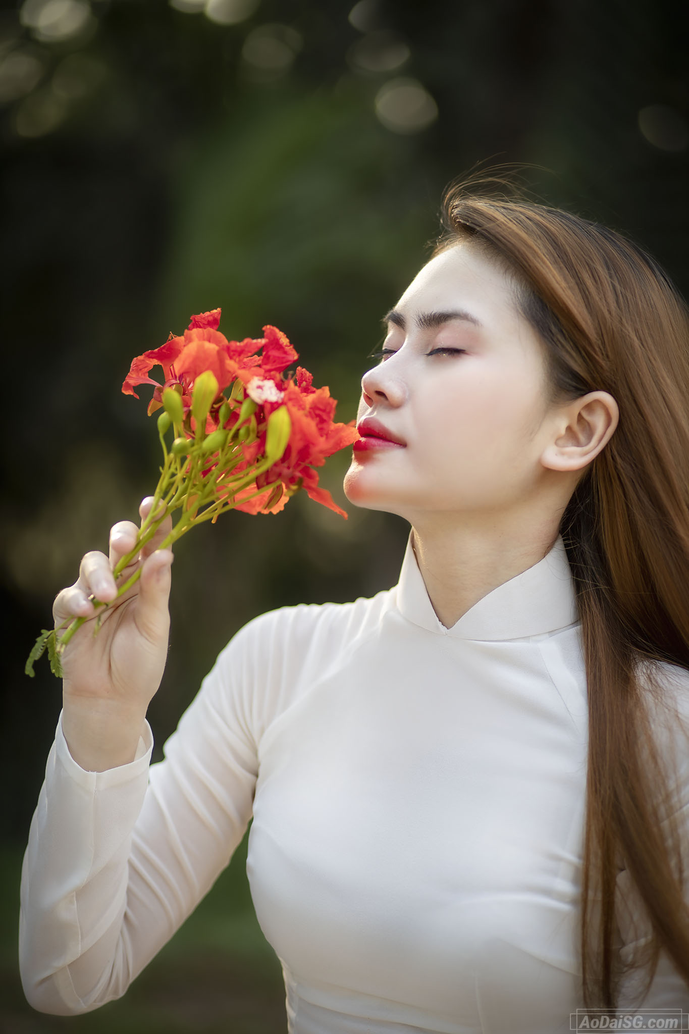 hinh co gai mac ao dai 28 Hình cô gái mặc áo dài 28