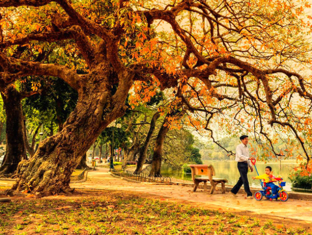 anh thien nhien 4 mua 25 ảnh thiên nhiên 4 mùa 25