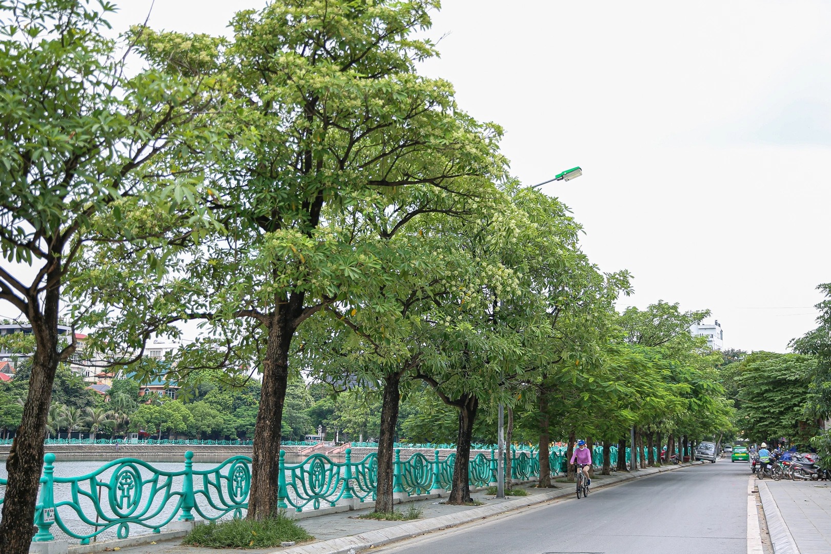 anh thien nhien 4 mua 26 ảnh thiên nhiên 4 mùa 26