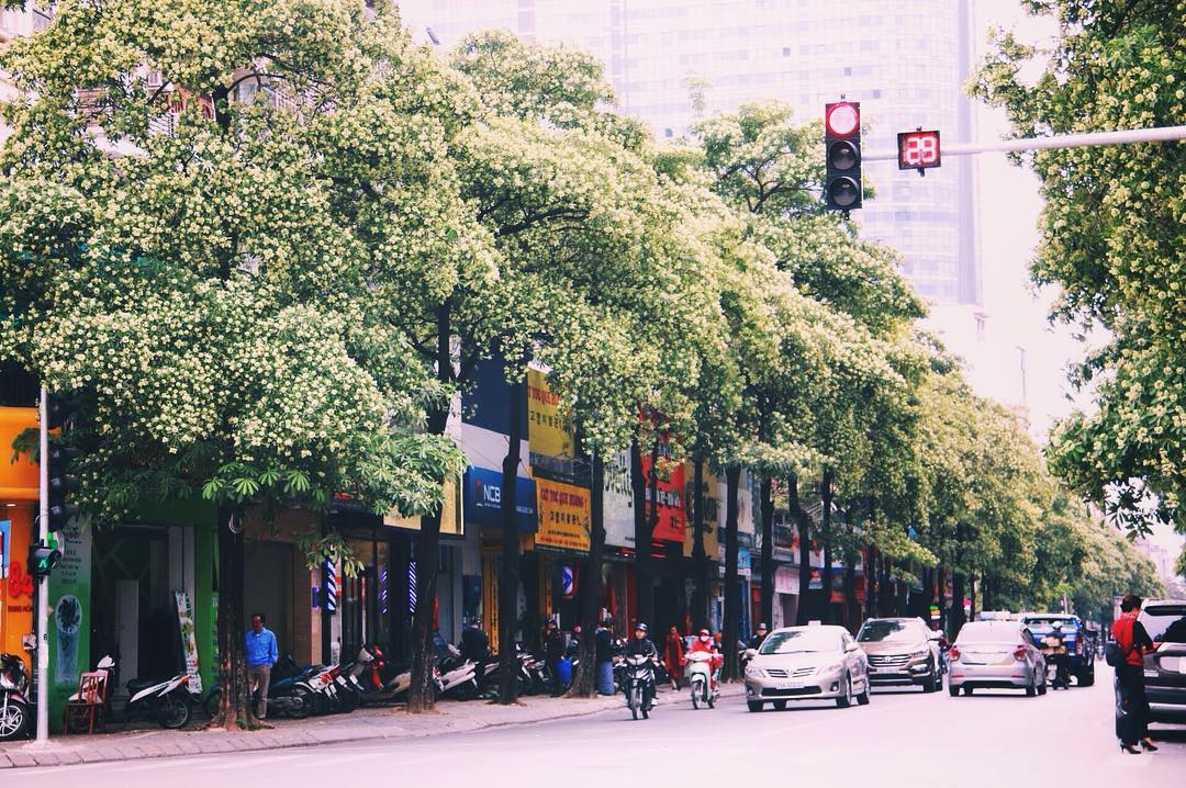 anh thien nhien 4 mua 27 ảnh thiên nhiên 4 mùa 27