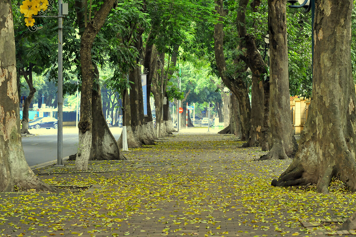 anh thien nhien 4 mua 29 ảnh thiên nhiên 4 mùa 29