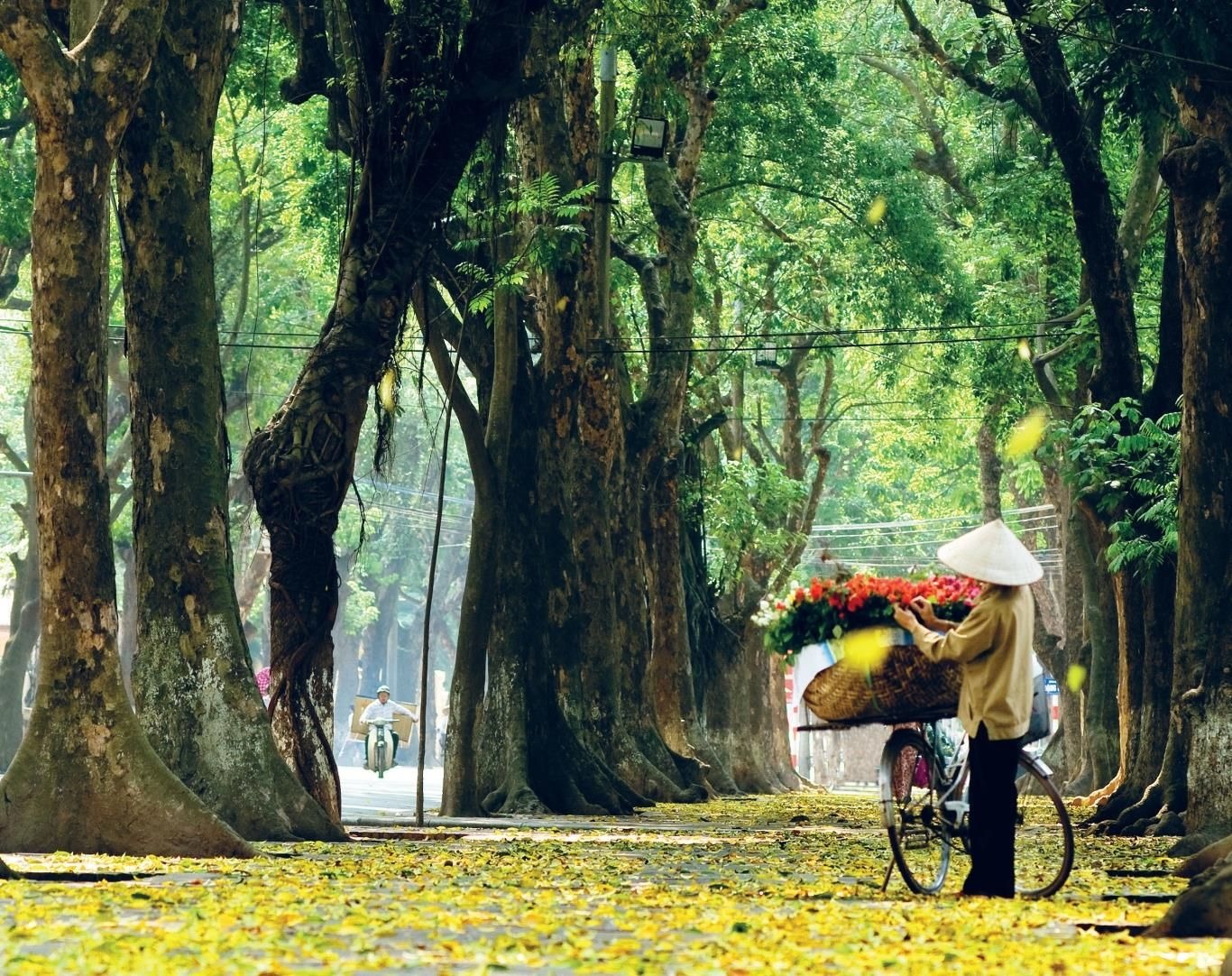 anh thien nhien 4 mua 30 ảnh thiên nhiên 4 mùa 30