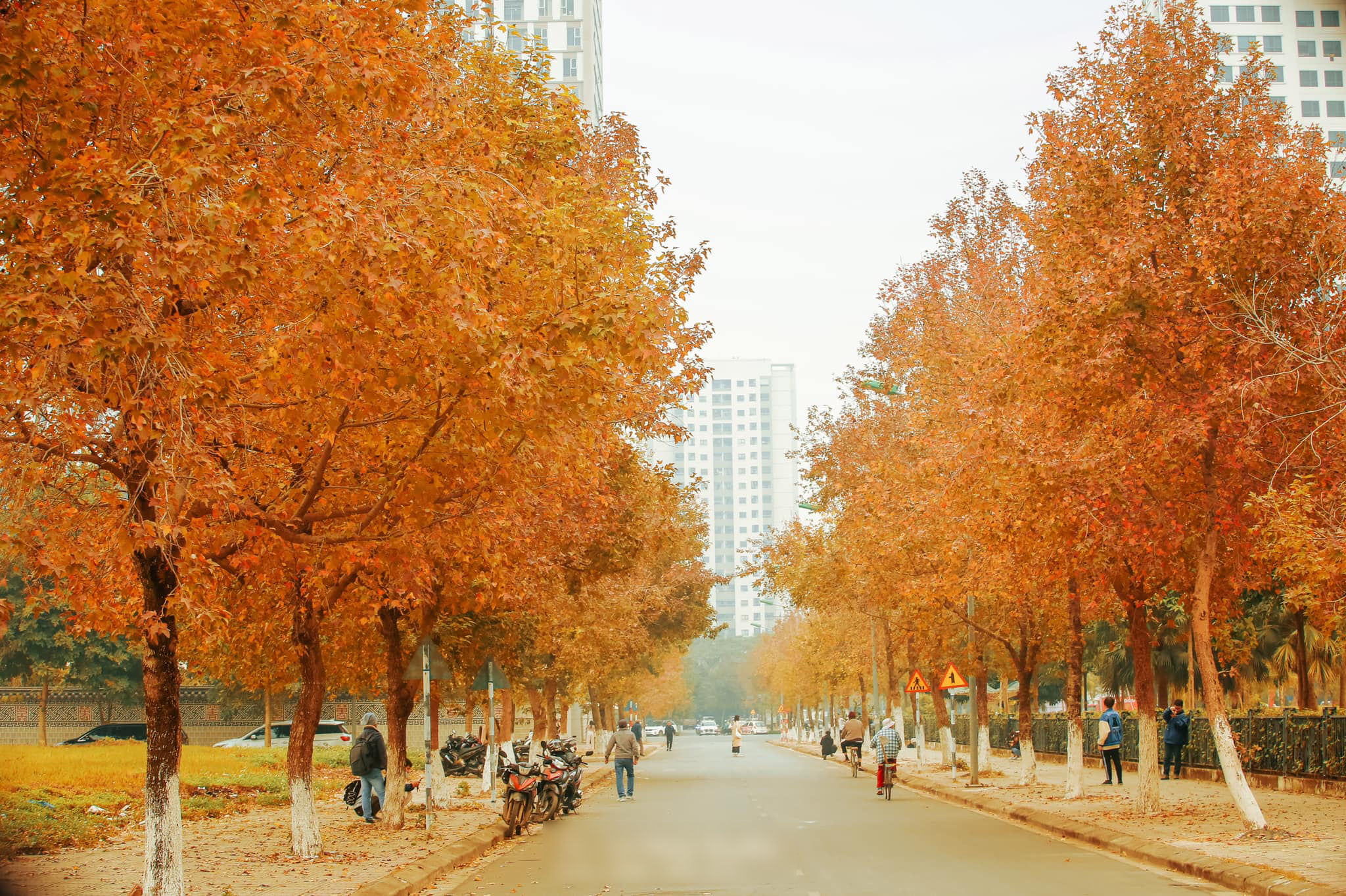 hinh anh thien nhien mua thu 20 hình ảnh thiên nhiên mùa Thu 20